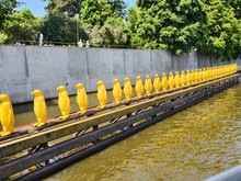 Betriebsausflug Prag - gelbe Pinguinfiguren auf der Moldau