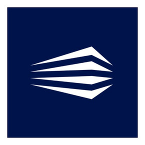 Logo Business Consulting Society