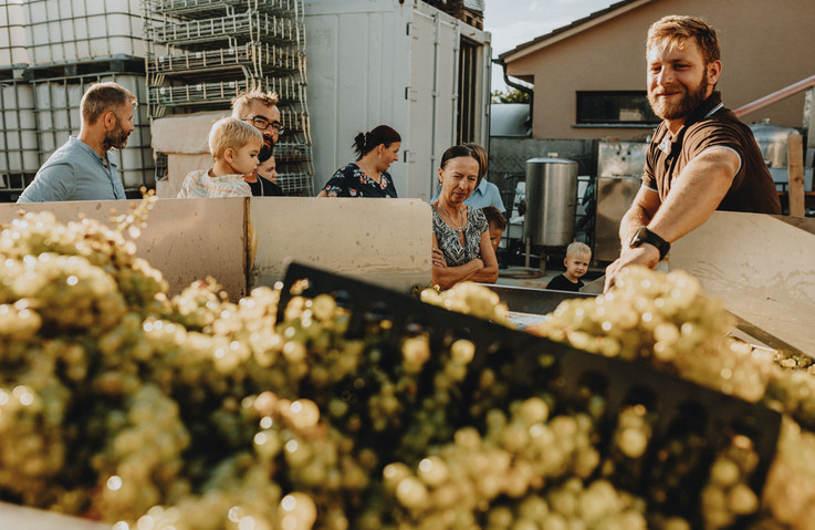 Bild einer Familie beim Arbeiten