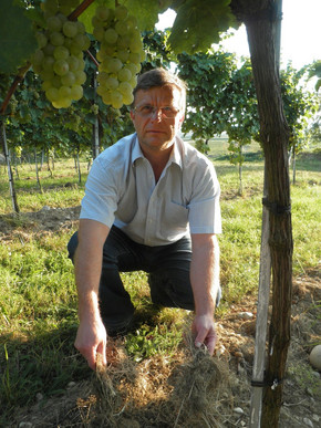 Portrait Andreas Burger