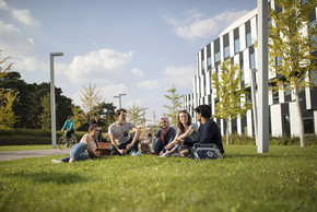 Studierende auf einer Wiese