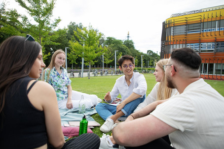 Studierende sitzen im Gras und reden