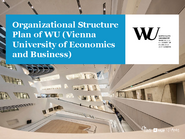 Organizational Structure Plan