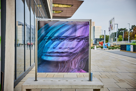 Outdoor Art Gallery at Campus WU