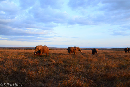 Kenya