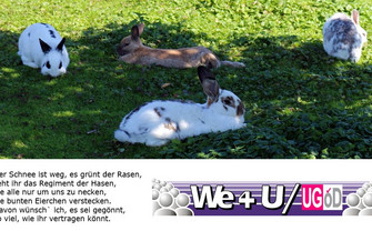 We4u/UG Osterwünsche 2018