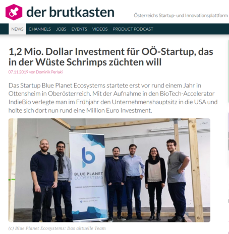 Screenshot (Der Brutkasten, 07. November 2019)