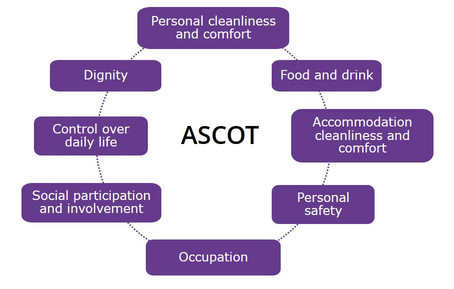 ASCOT domains