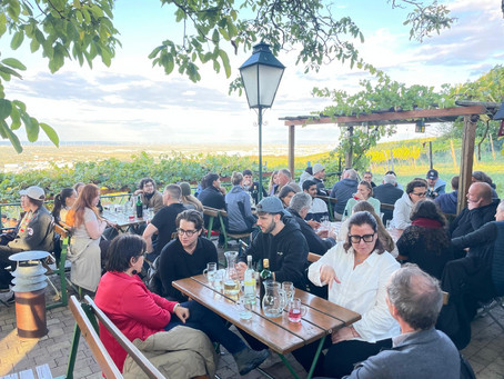 Hiking & Dining with Sustainability Experts - Vienna's Vineyards