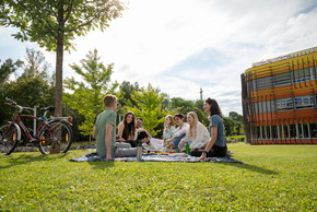 Gruppe von Studierenden sitzt auf einer Wiese