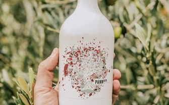 Flasche Pannolio Olivenöl