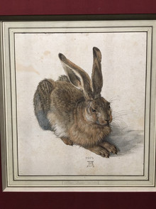 Der Feldhase von Albrecht Dürer