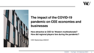 Report_Impact_of_Covid_on_CEE_MC_CEE_2021.pdf