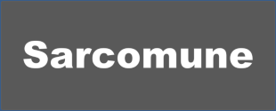 Logo - Sarcomune Dummy