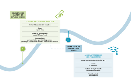 The picture show the career path "non tenure track": 1st step: After completion of a master's or diploma degree you can apply for a job as a teaching and research associate: term 6 years max; extent of employment - usually 30 hours/week; teaching load - persuant to operational agreement (starting at 2 credit hours from the 3rd semester onwards) 2nd step: After completion of a PhD/doctoral degree you can apply for a job as a assistant professor (non-tenure track): term 6 years max; extent of employment - usually 40 hours/week; teaching load - 4 credit hours 