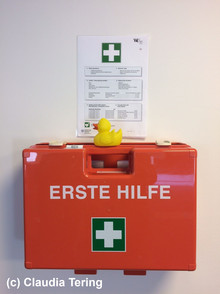 erste Hilfe Ente