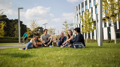 A group of students sits on grass and is having lively discussion.
