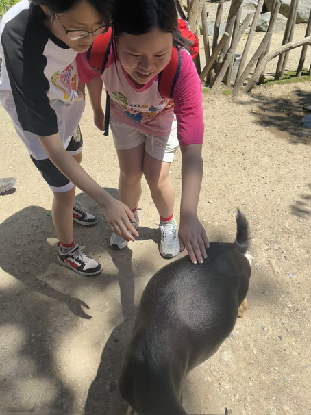Buddies im Tierpark