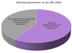 Tortendiagramm Wahlergebnis 2020
