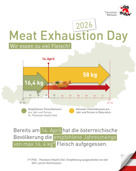 Vier Pfoten - Meat Exhaustion Day - Bild 1