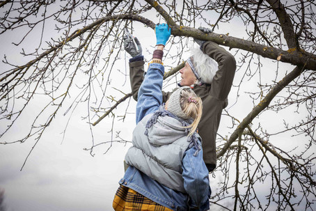 Samariterbund Baumpflege