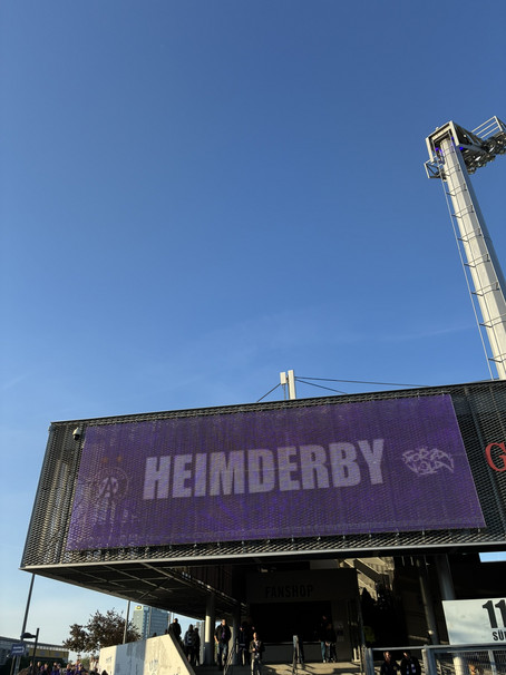 Ausflug der Buddies zum Wiener Fußballderby