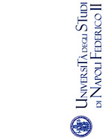 Università degli Studi di Napoli