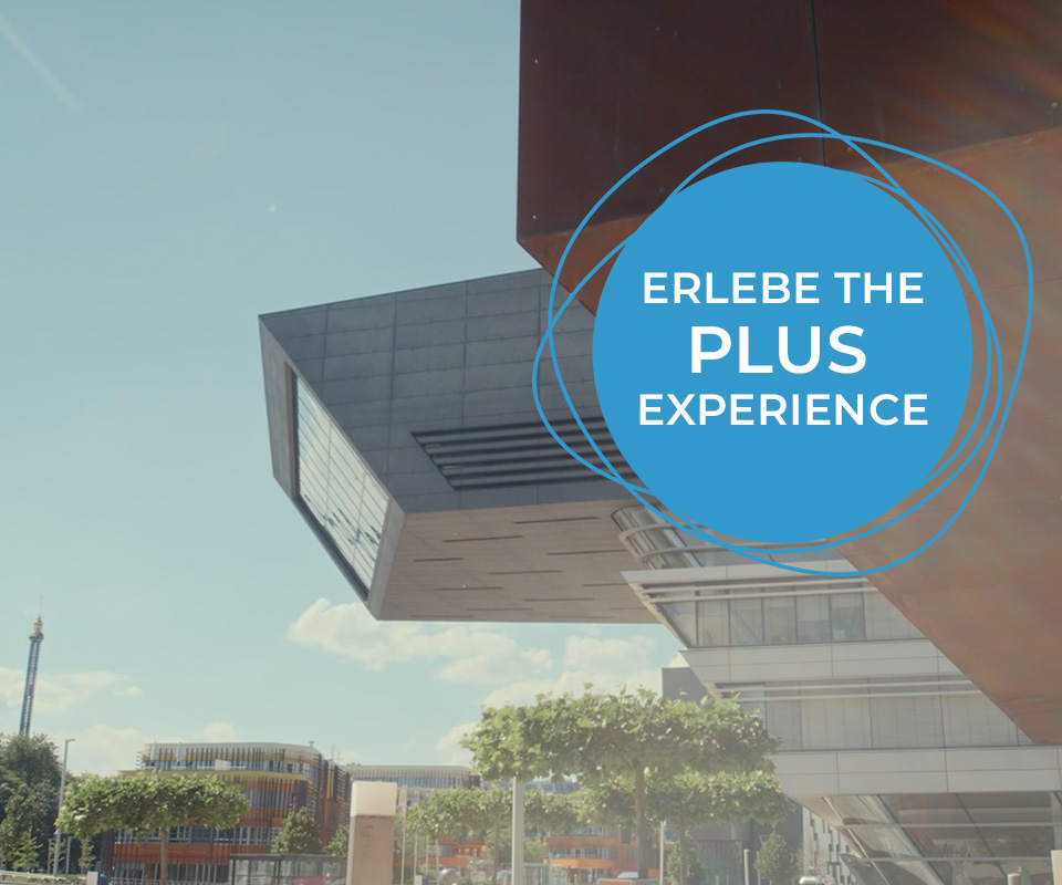 plus Experience