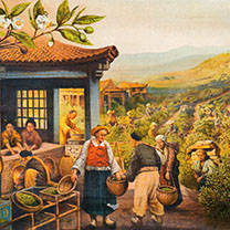 Eine Lehrtafel der k.k. Export-Akademie zeigt Händlern vor einem Teefeld