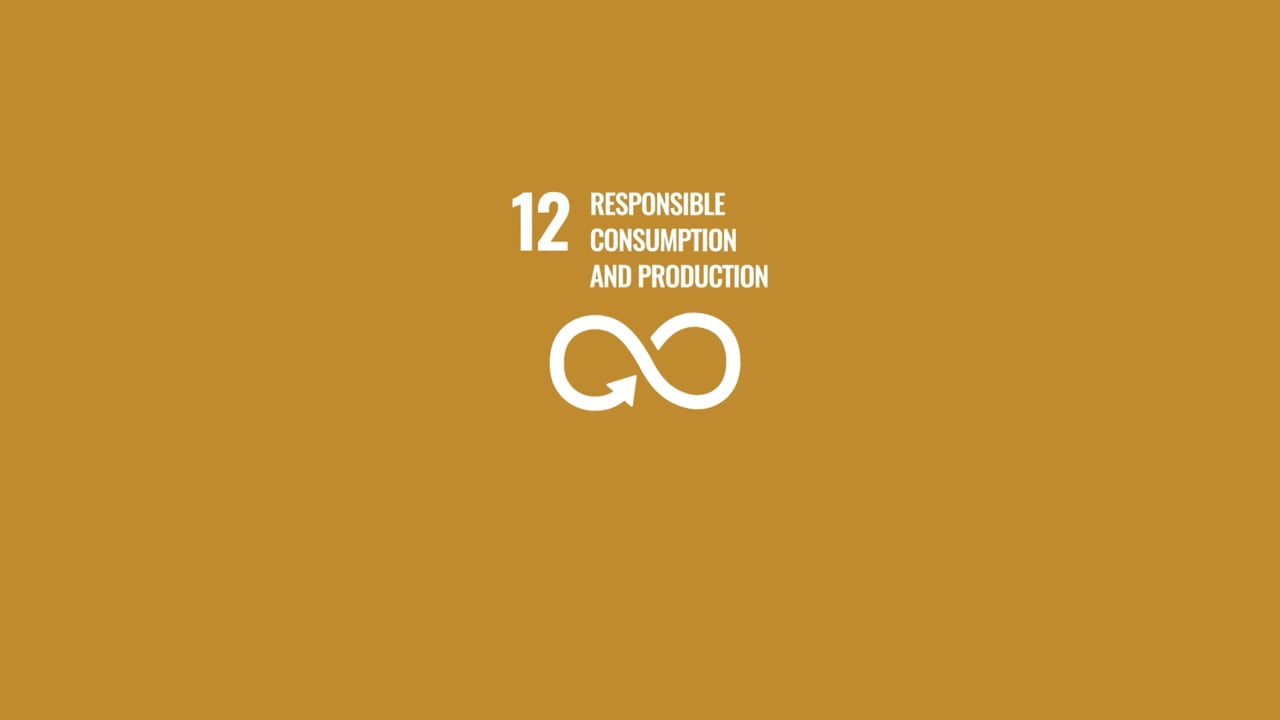 Video SDG 12 - Charlotte Kottusch & Rohan