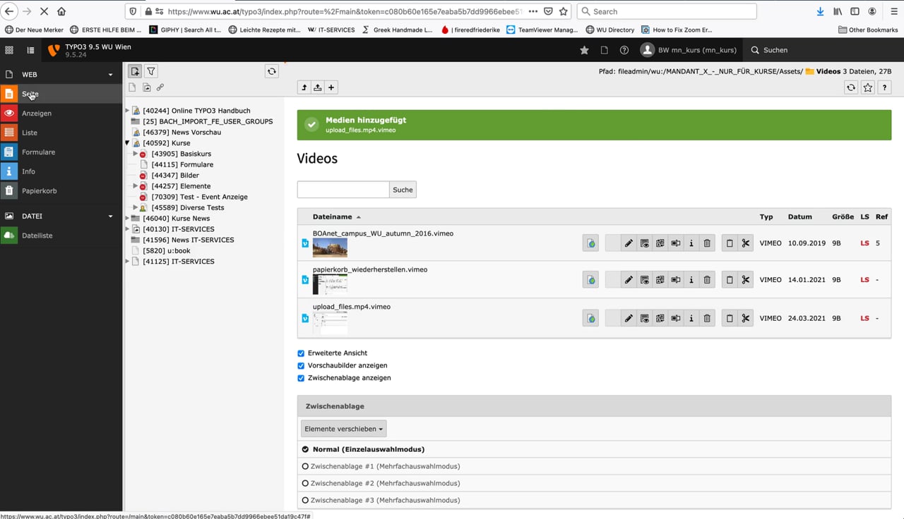 Video Upload eines Videos in Vimeo und einbetten in TYPO3 Text