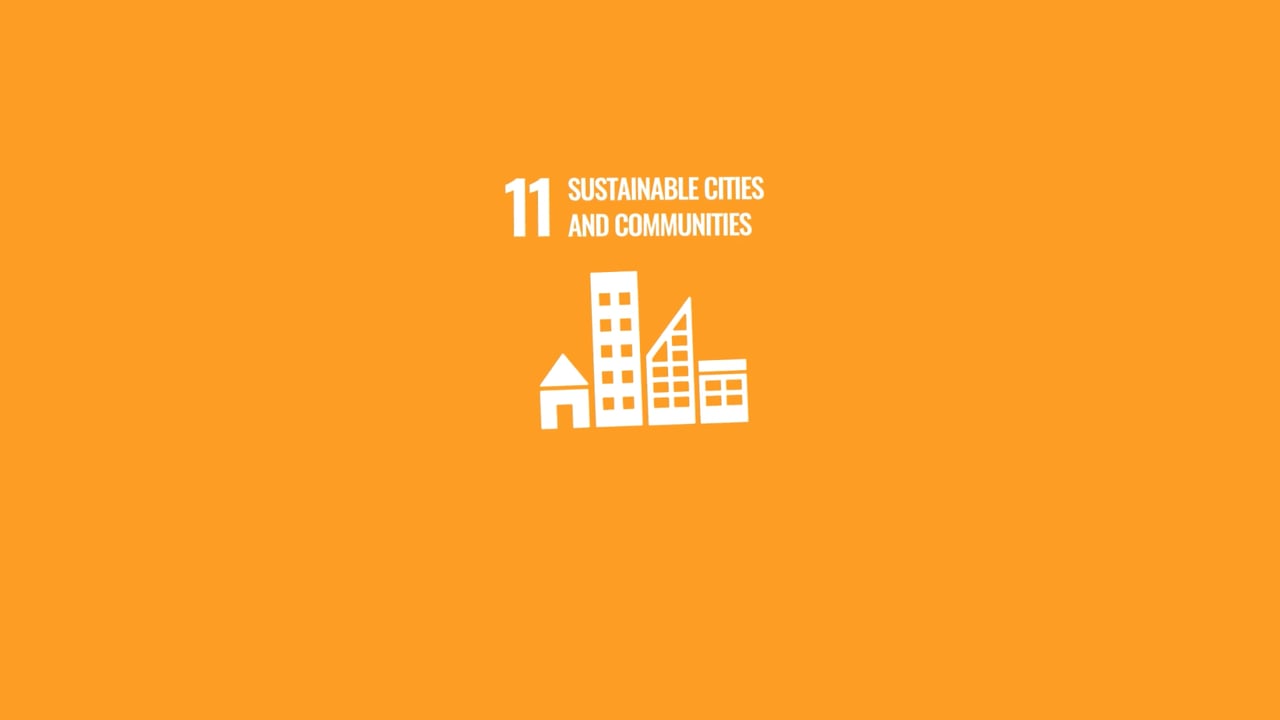 Video SDG 11 - Birgit van Duyvenbode & Katerina