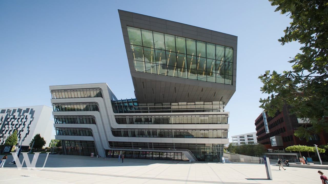 Video Sustainable Work Lab