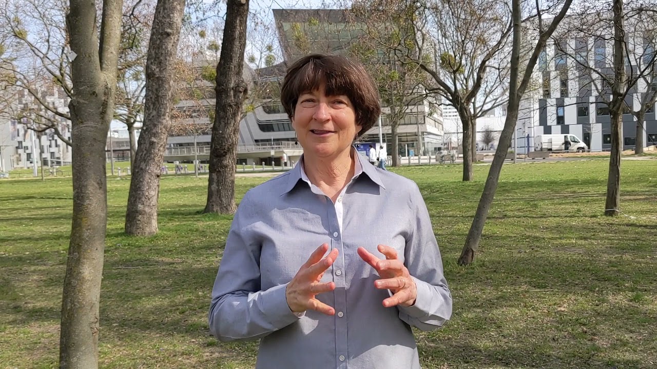 Video Interview with Prof. Carol Reeves, Fulbright Hall Chair for Entrepreneurship